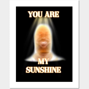 you are my sunshine my only sunshine lebron james Posters and Art